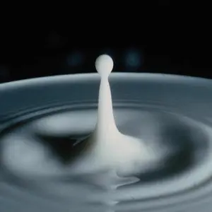 milkdrop FM