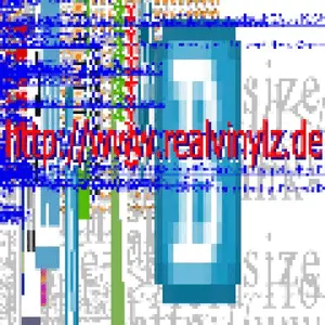 realvinylz FM