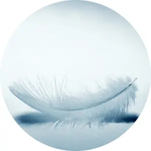 OpenFM: Kraina Łagodności