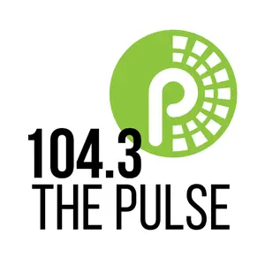 WZFJ Pulse Radio